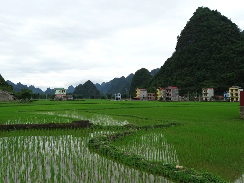Ruộng lúa xanh trải dài đến những ngôi nhà nhiều màu dưới chân núi đá vôi gần Cao Bằng.