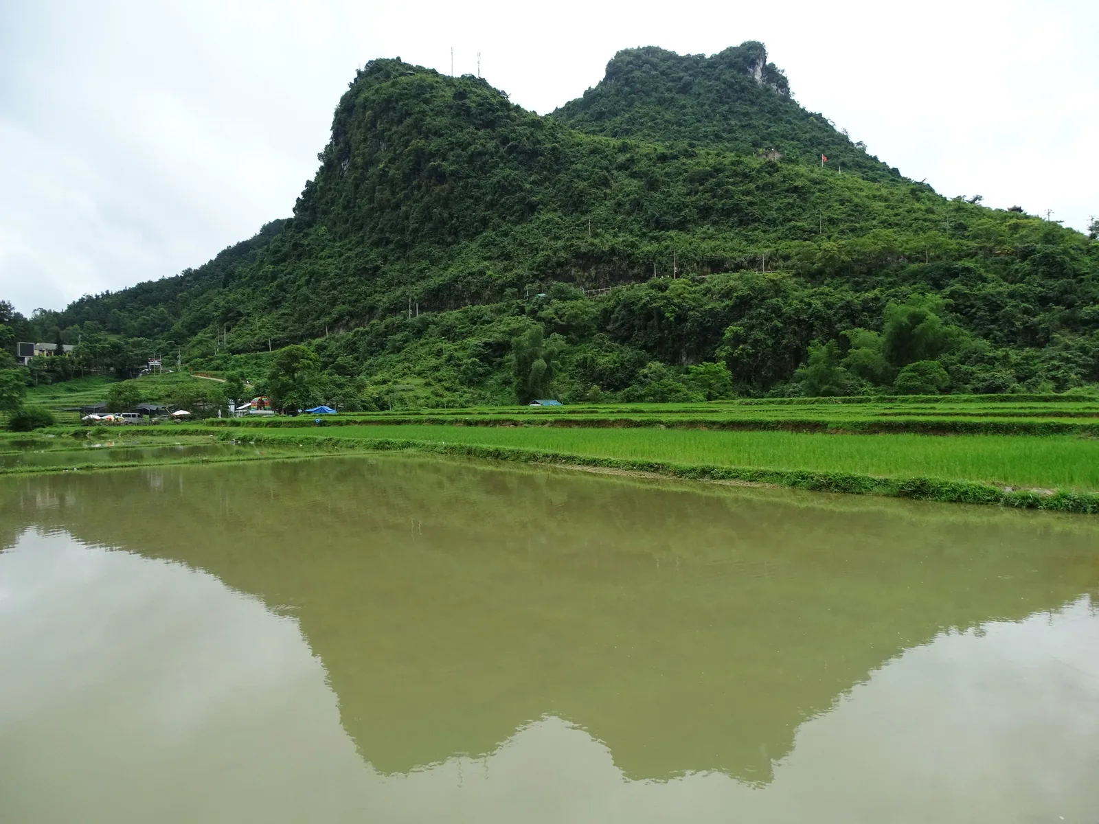 Ngọn núi đá vôi xanh mướt soi bóng trên ruộng lúa ngập nước gần Bản Giốc, Cao Bằng.