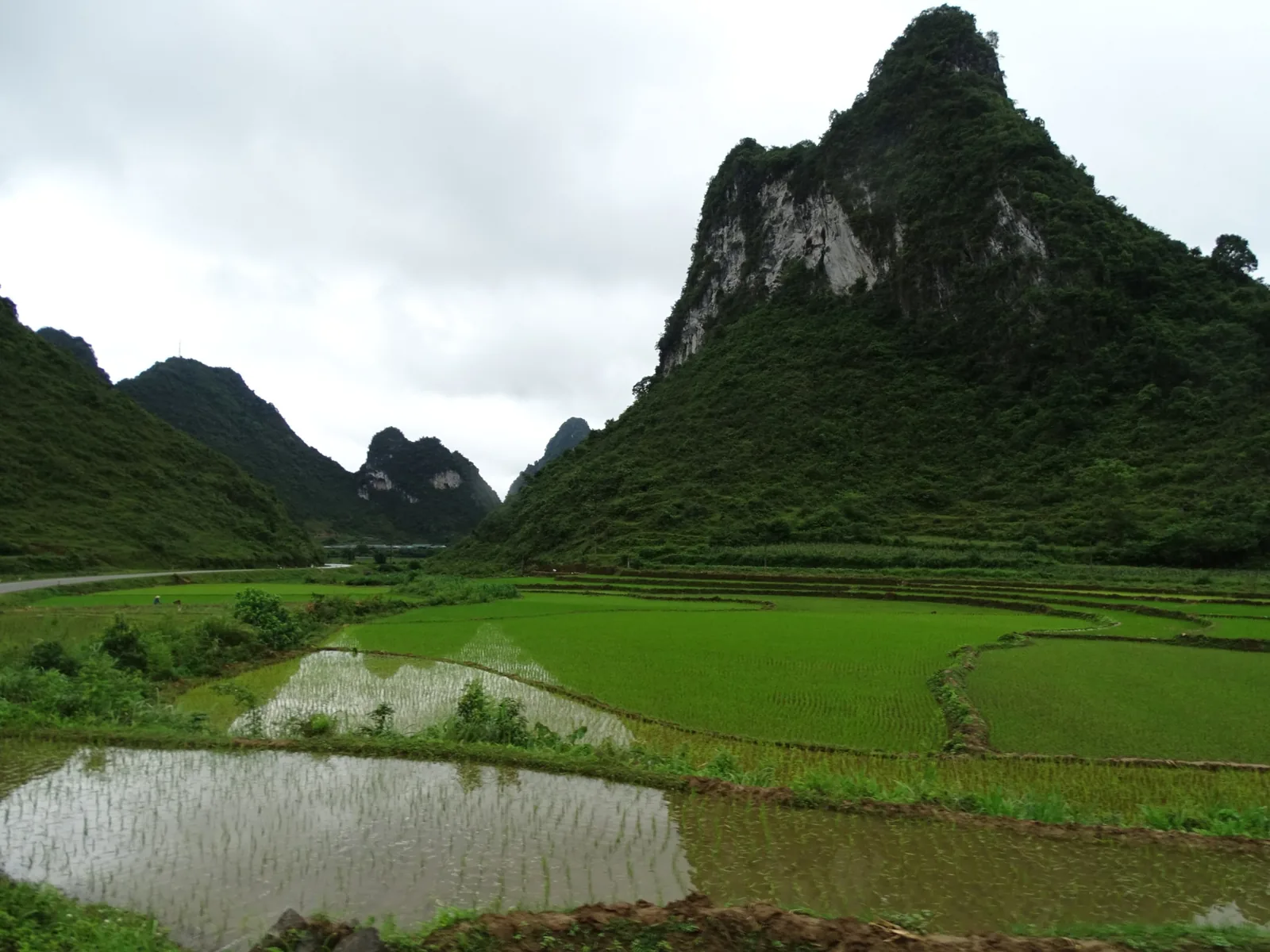 Những núi đá vôi nhô lên trên ruộng lúa ngập nước ở vùng nông thôn gần Cao Bằng, Việt Nam.