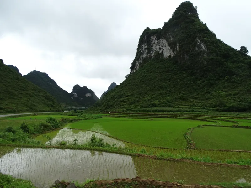 Những núi đá vôi nhô lên trên ruộng lúa ngập nước ở vùng nông thôn gần Cao Bằng, Việt Nam.
